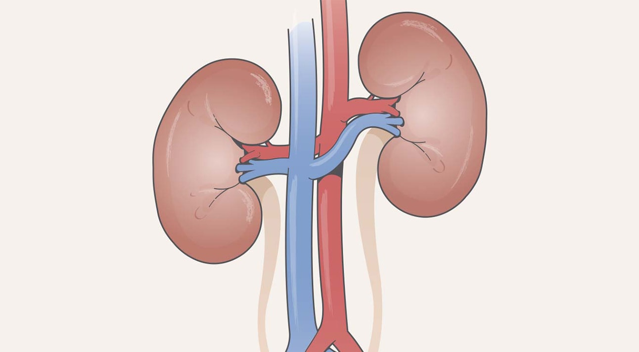 Doença renal